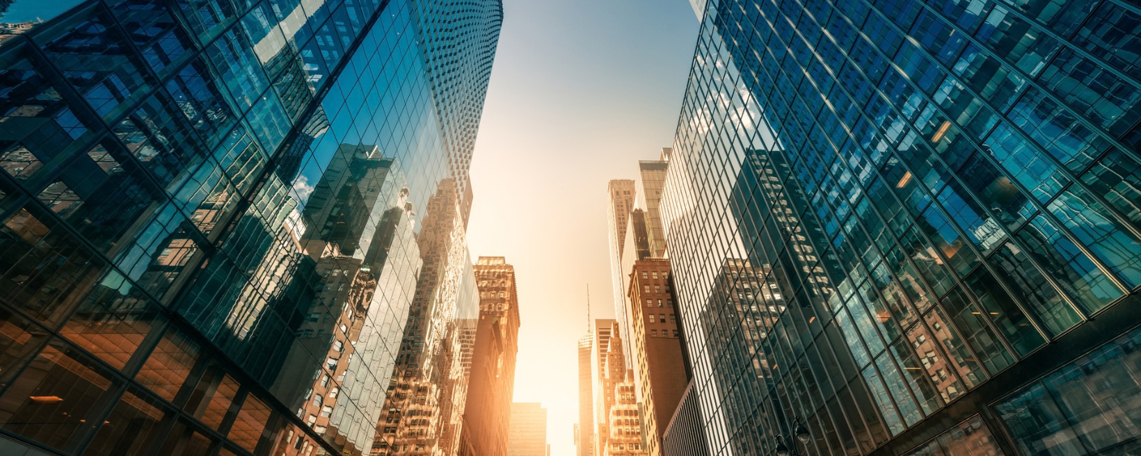 Practical ERP Solutions Background