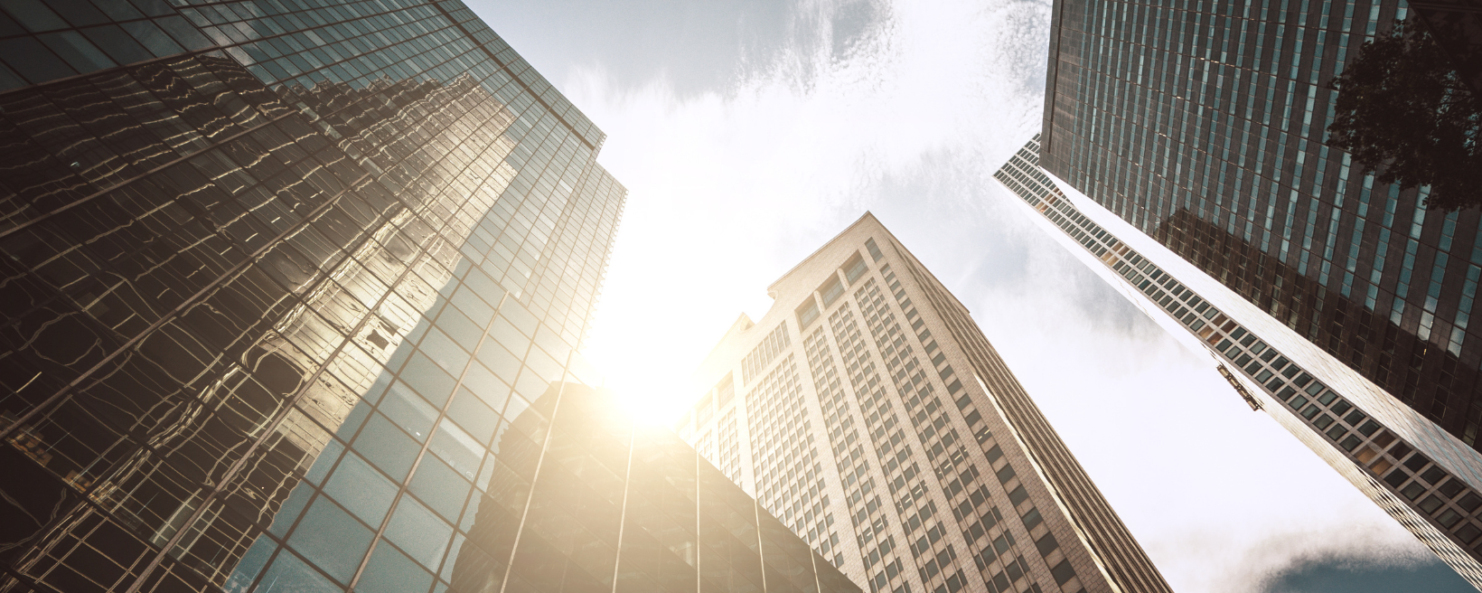 Practical ERP Solutions Background