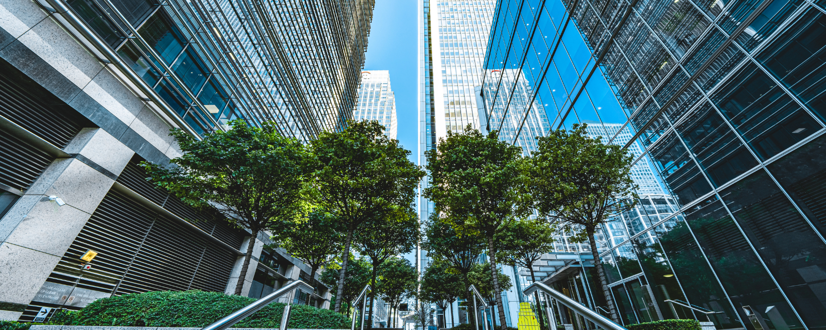 Practical ERP Solutions Background