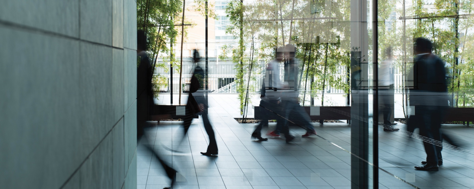 Practical ERP Solutions Background