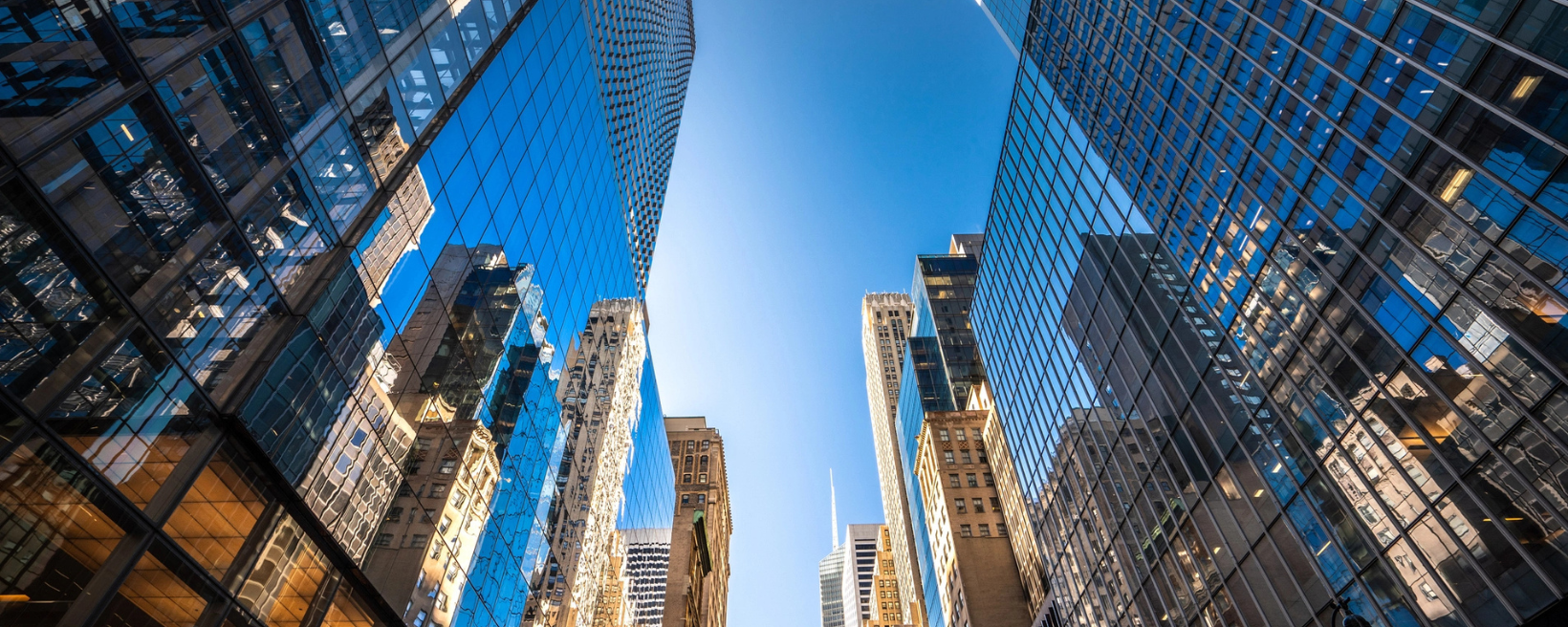 Practical ERP Solutions Background